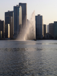 photo 1454273