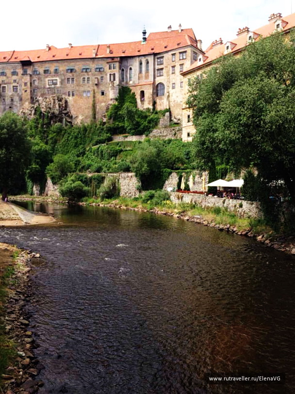 photo 1503445