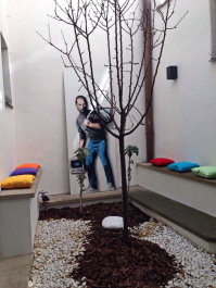 photo 1504302