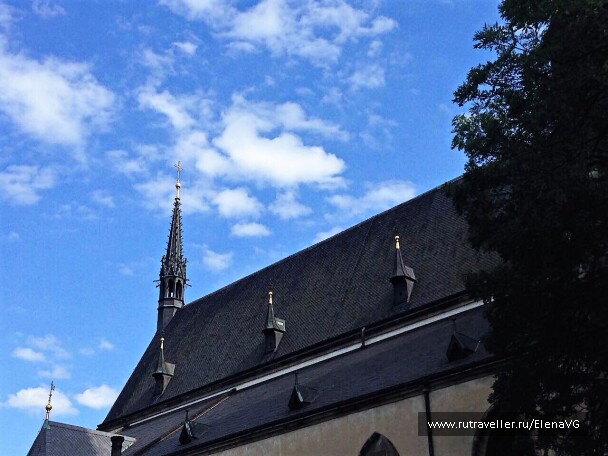 photo 1505913