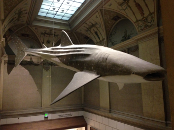 photo 1744522