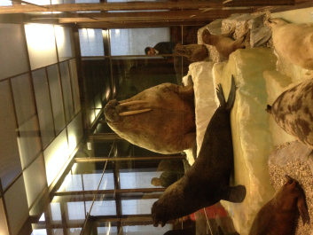 photo 1744524