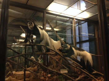 photo 1744525