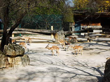 photo 1752915