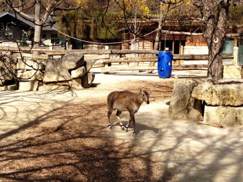 photo 1755202