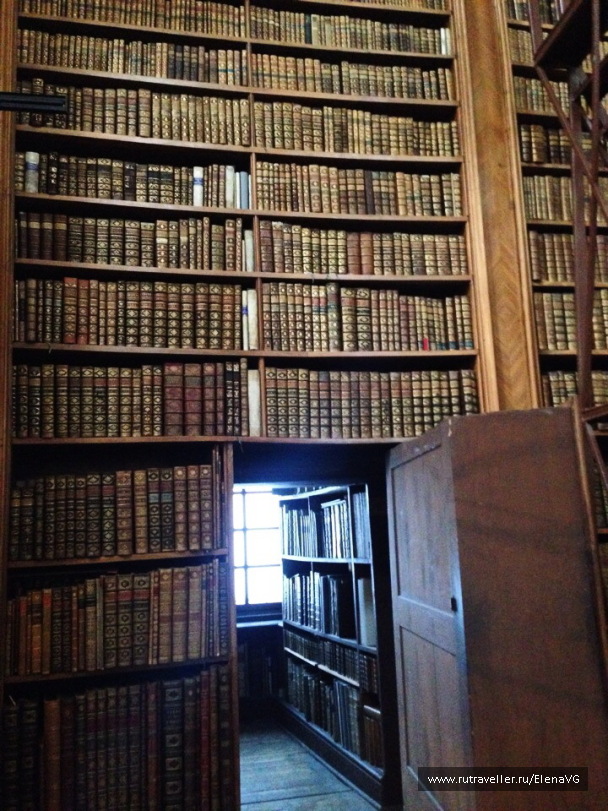 photo 1758529