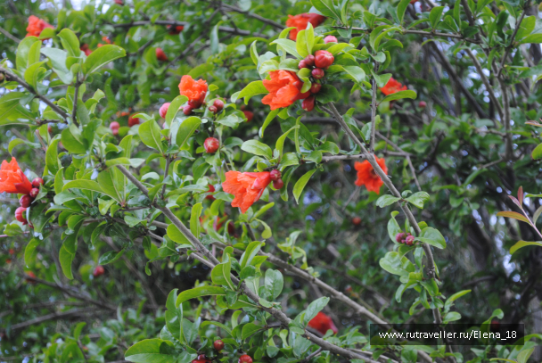 photo 1047886