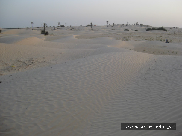 photo 438916