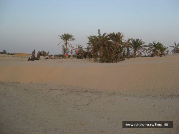 photo 438917
