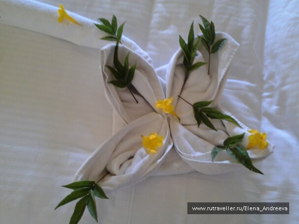 photo 323720
