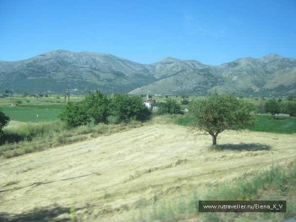 photo 396275