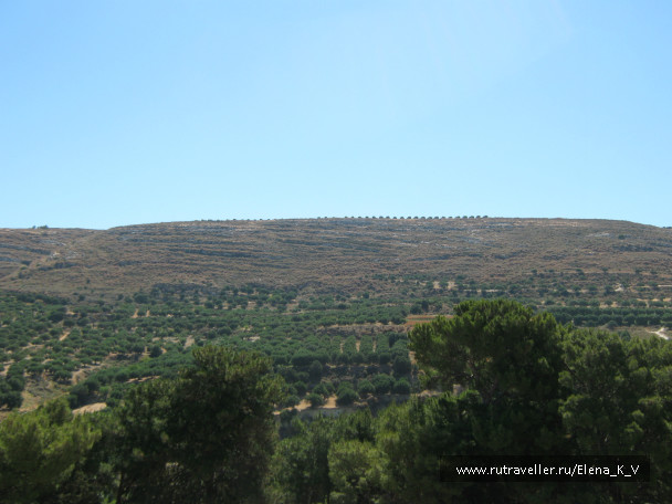 photo 396304