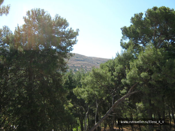 photo 396310