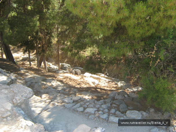 photo 396312