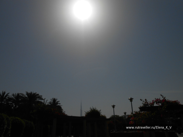photo 368081