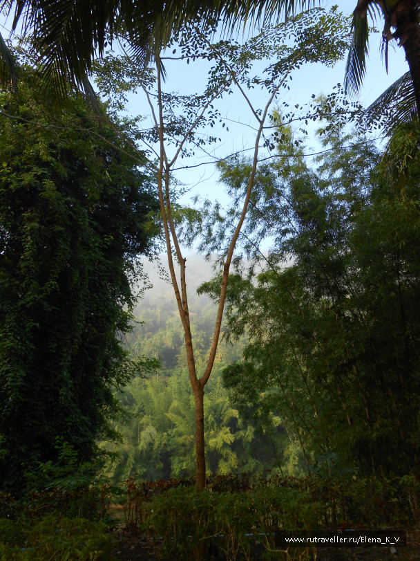 photo 618521
