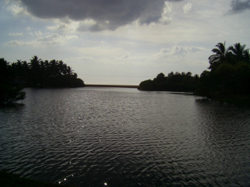 photo 310525