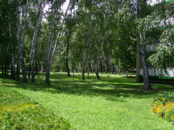 photo 463256