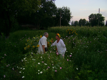 photo 463345