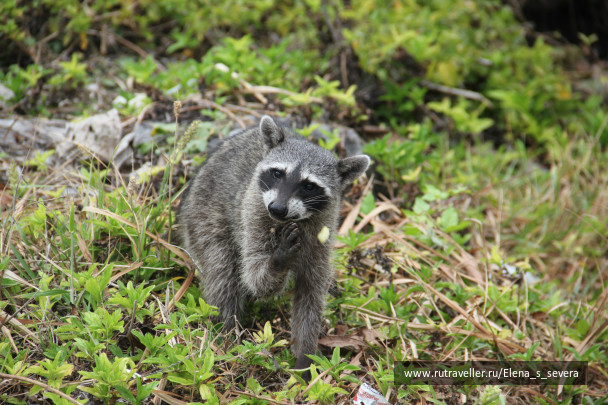 photo 105193