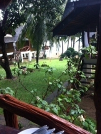 photo 773702