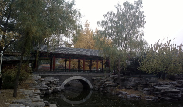2013-11-13-1231