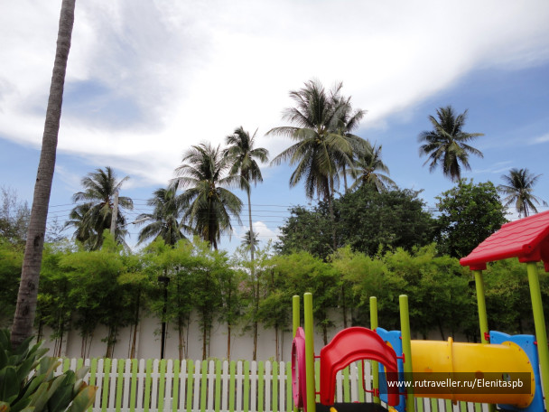 photo 65680
