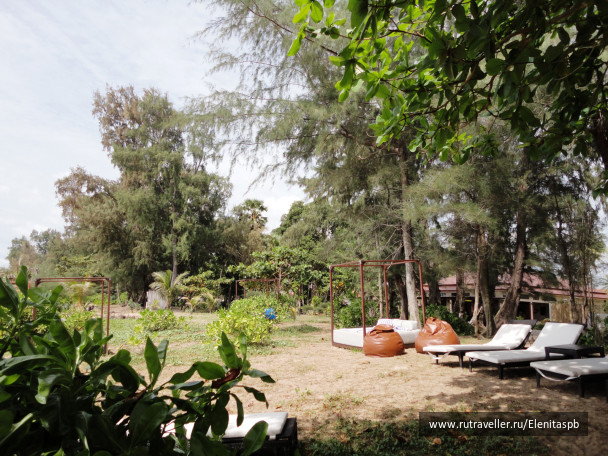 photo 65694