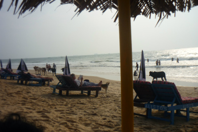photo 250230