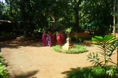 photo 250240