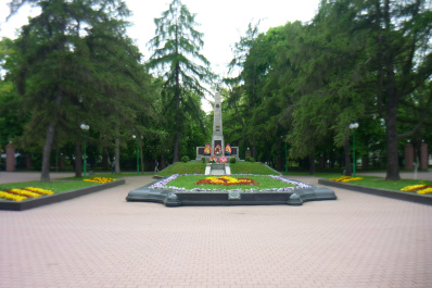 photo 255727