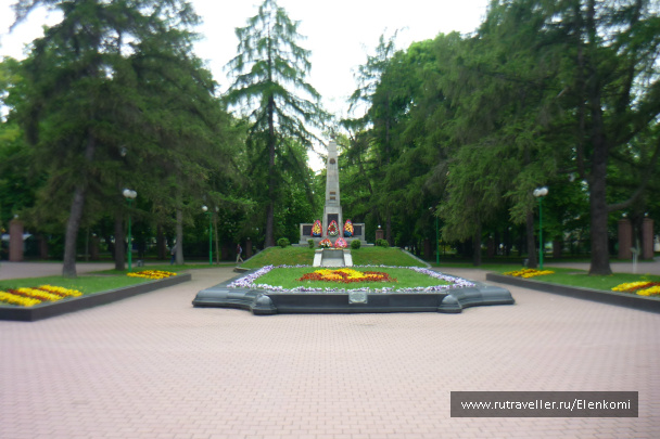 photo 255727
