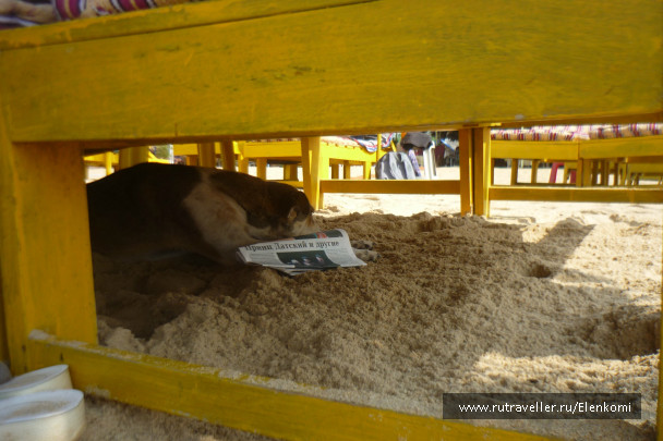 photo 260849