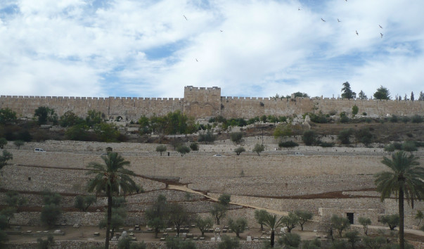 P1030025