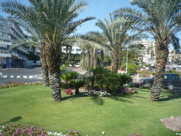 photo 182382