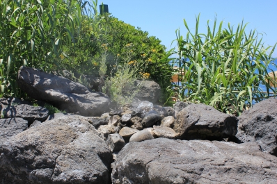 photo 829053