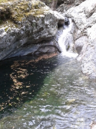 photo 555830