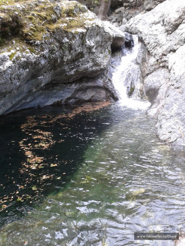 photo 555830