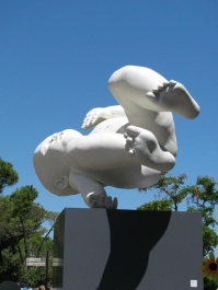 photo 236068