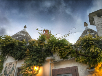 photo 1146971