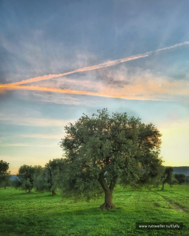 photo 1146662