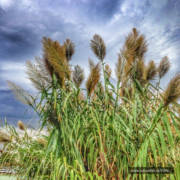photo 1146674