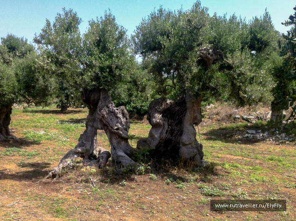 photo 1147483