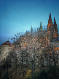 photo 1164457