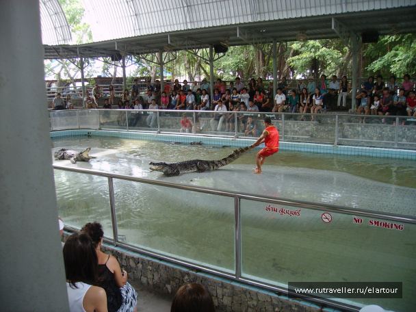 photo 203434
