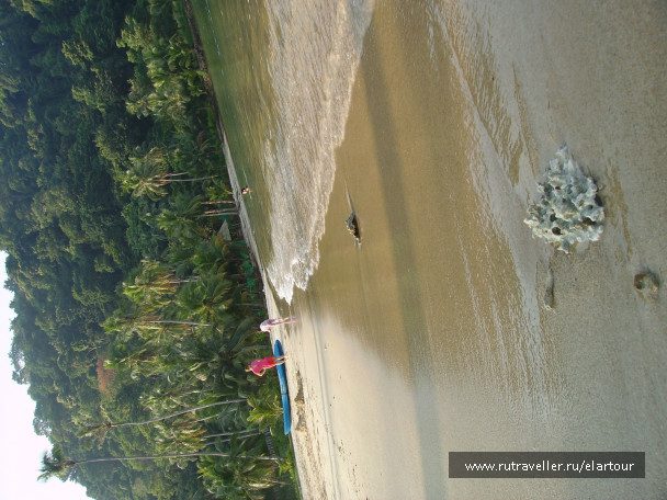 photo 203488