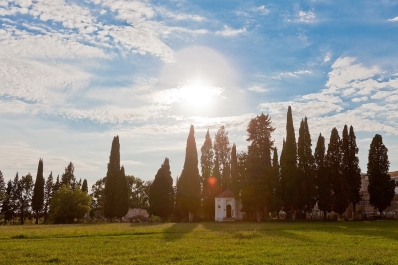 photo 251928
