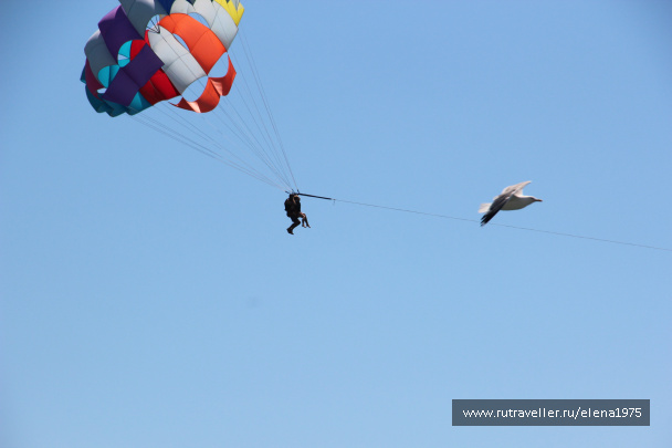photo 149565
