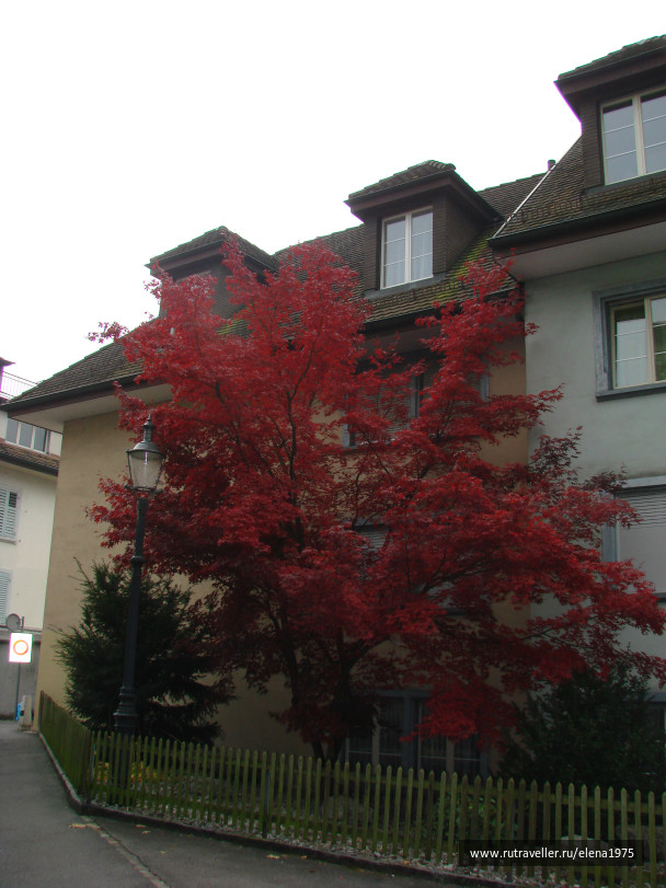 photo 44650