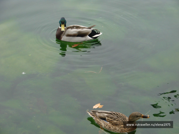 photo 44653